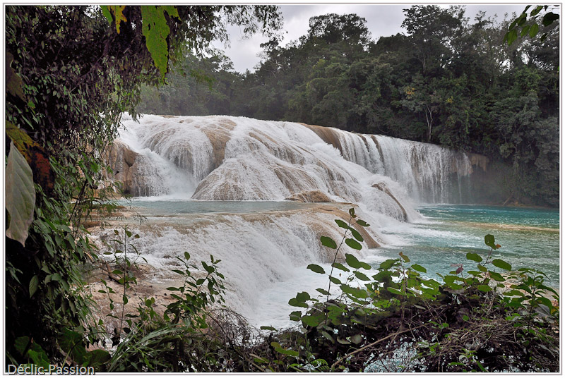 Cascades Agua Azul
