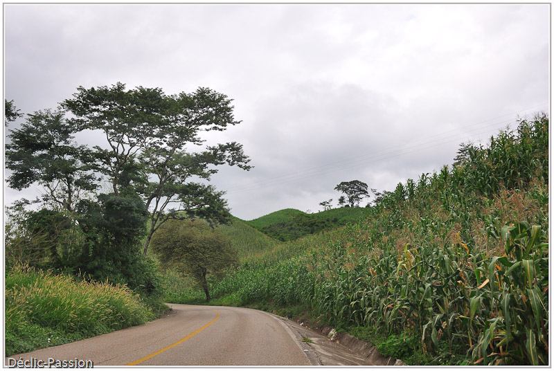 Sur la route de Palenque