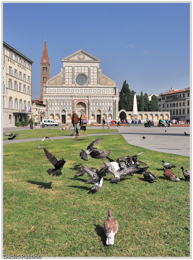 Pigeons florentins