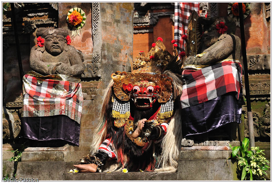 Introduction au Borong