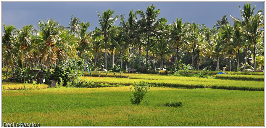 Lumières du soir à Ubud - Bali -