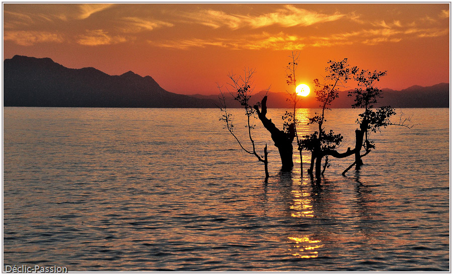 Plage de Maumere , il est 6 h du matin ! - Flores -