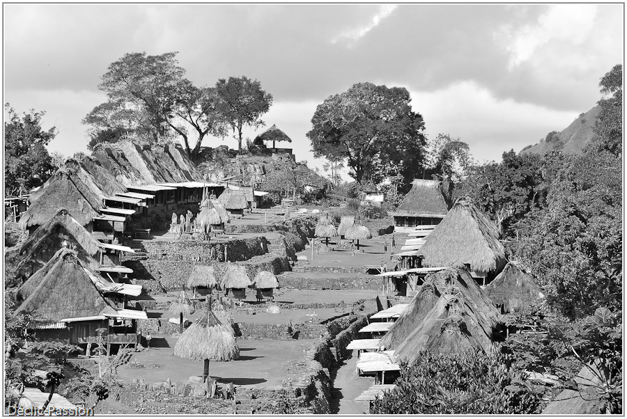 Village Bena - Flores -