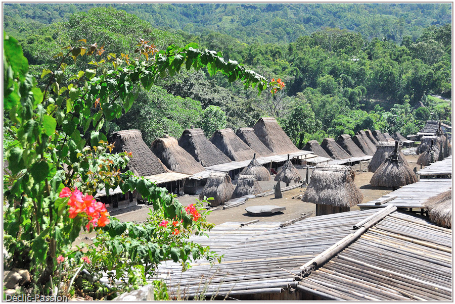 Village Bena - Flores -