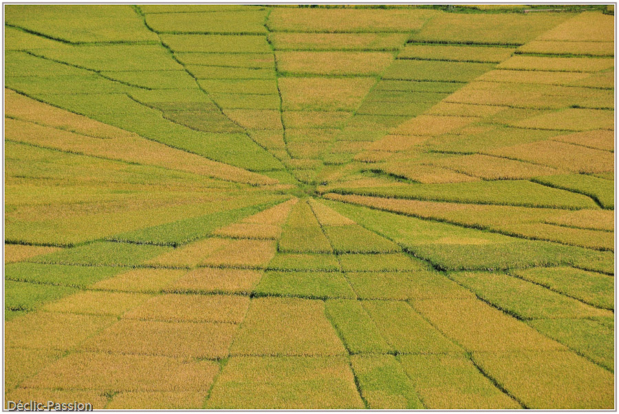 Détail Ruteng - Flores -