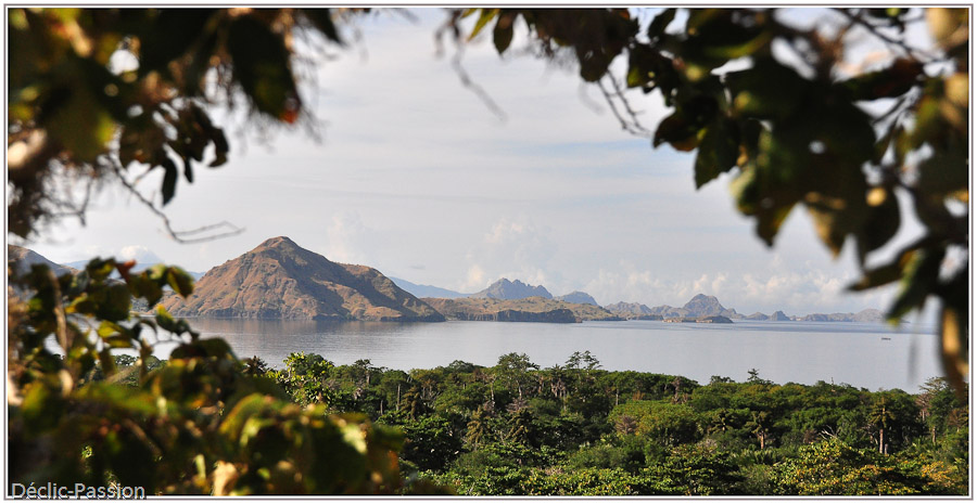 Paysage depuis Komodo