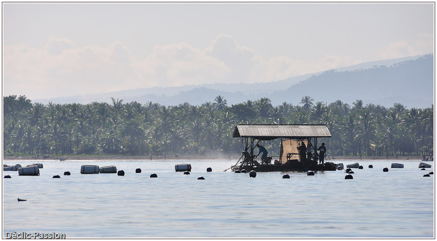Culture de perles entre Lombok et Bali