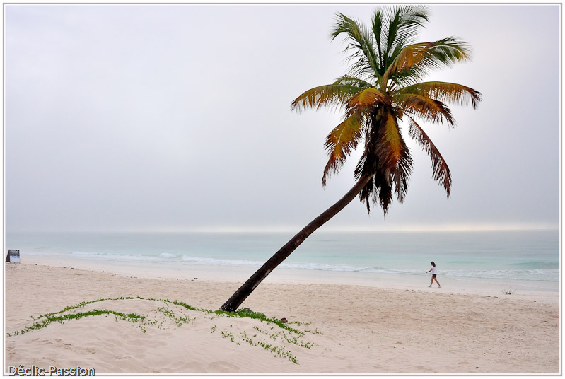 Gardien de plage