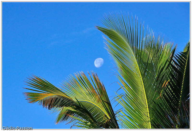 Coucher de Lune !