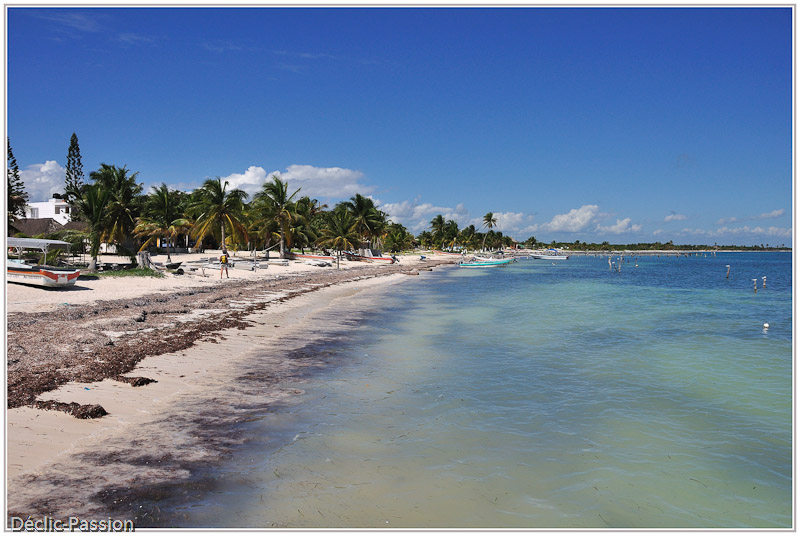 La plage 