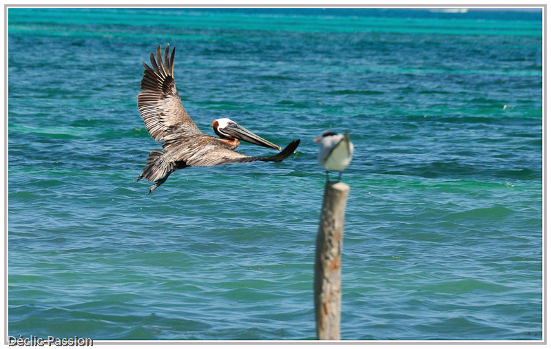 Au revoir le Quintana Roo !