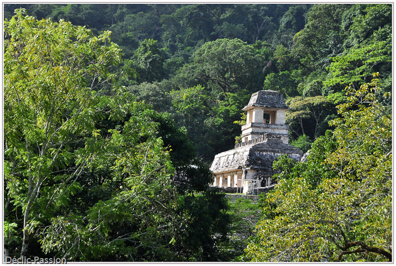 Palenque