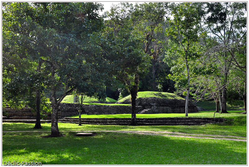 Palenque