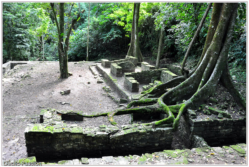 Palenque