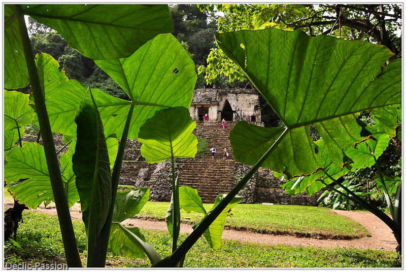 Palenque