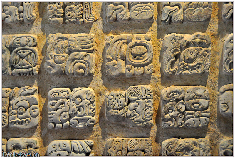 Musée de Palenque