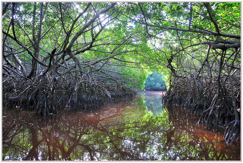 YUCATAN
