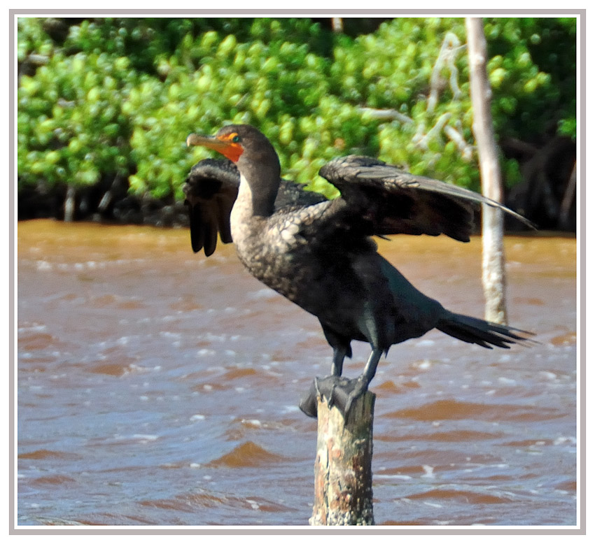YUCATAN
