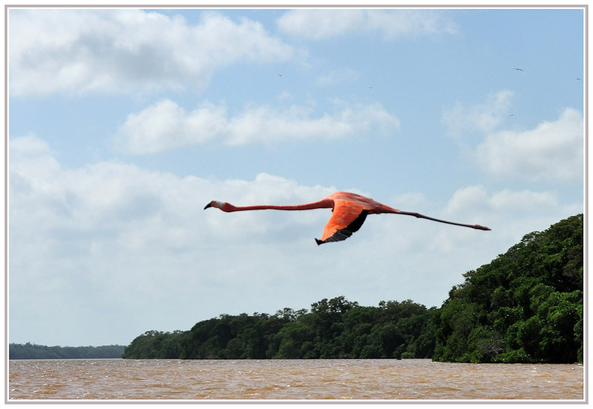 YUCATAN