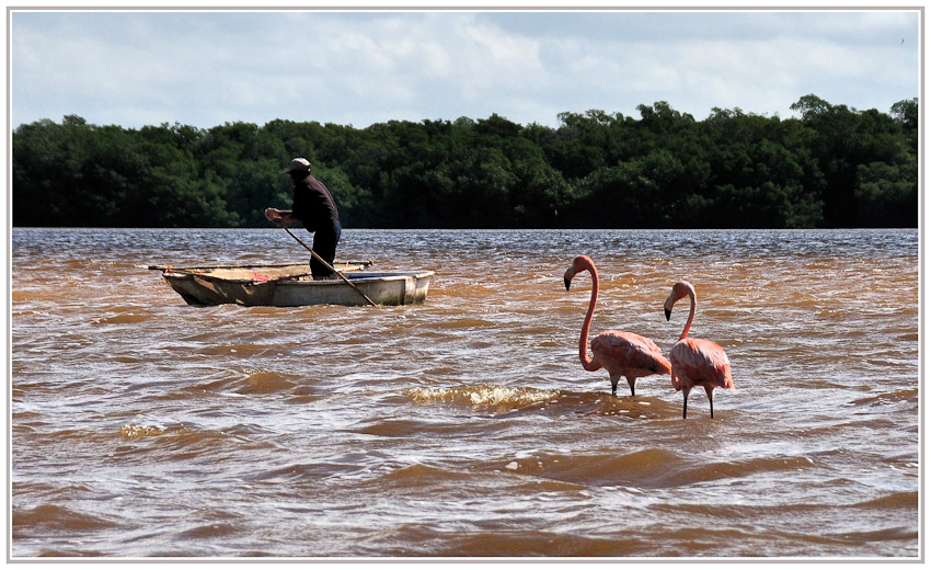 YUCATAN