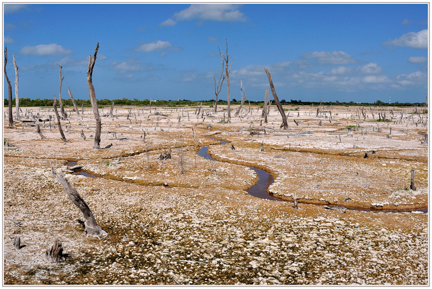 YUCATAN
