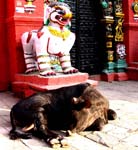 DSCN0313