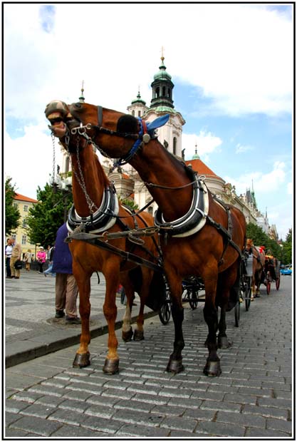 Prague 014